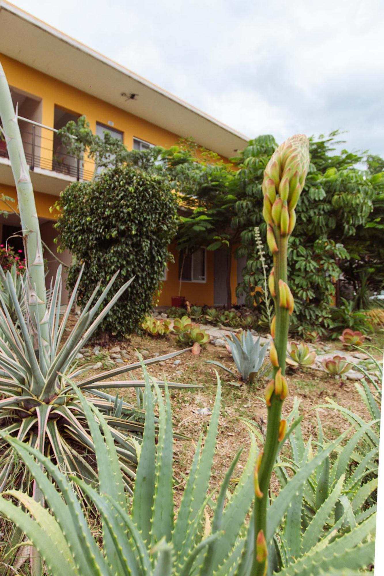 Hotel Guiva San Pablo Hacienda Blanca Exteriör bild